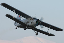 An-2